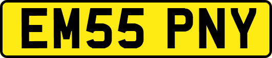 EM55PNY