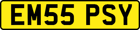 EM55PSY
