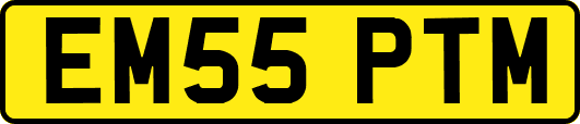 EM55PTM