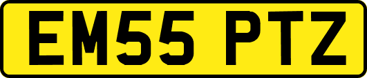 EM55PTZ