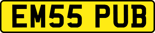 EM55PUB
