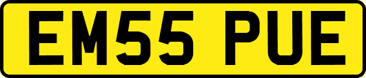 EM55PUE