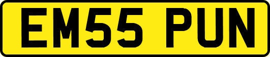 EM55PUN