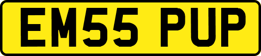 EM55PUP