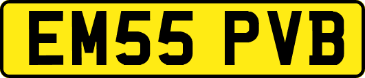 EM55PVB