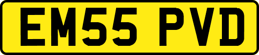 EM55PVD