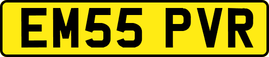 EM55PVR
