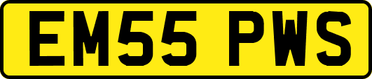 EM55PWS