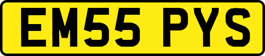 EM55PYS