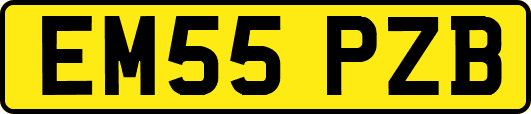 EM55PZB