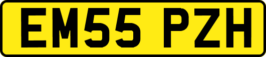 EM55PZH