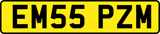 EM55PZM
