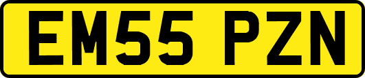 EM55PZN