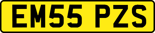 EM55PZS