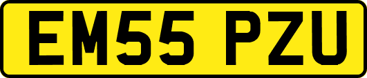 EM55PZU