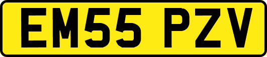 EM55PZV