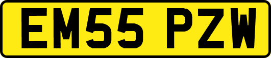 EM55PZW