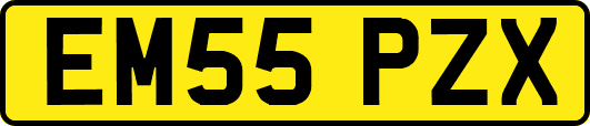 EM55PZX