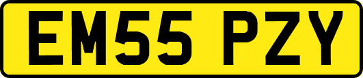 EM55PZY