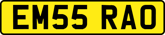 EM55RAO