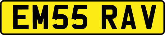 EM55RAV