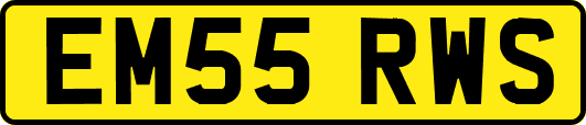 EM55RWS