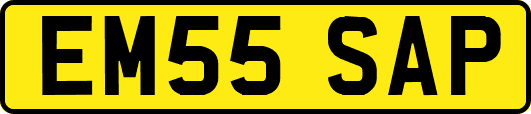 EM55SAP