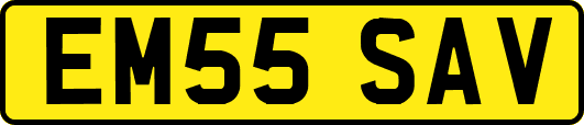 EM55SAV