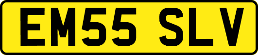 EM55SLV