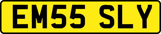 EM55SLY