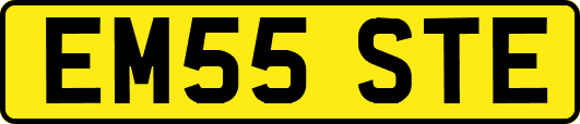 EM55STE