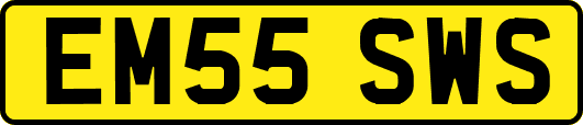 EM55SWS