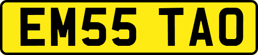 EM55TAO