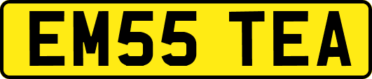 EM55TEA