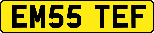 EM55TEF