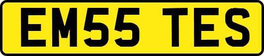 EM55TES