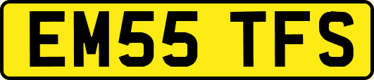 EM55TFS