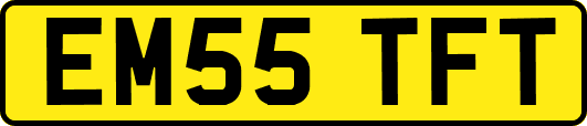 EM55TFT