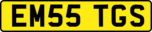 EM55TGS