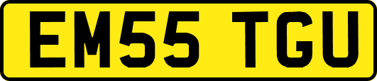 EM55TGU