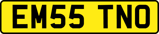 EM55TNO