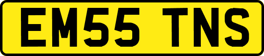 EM55TNS