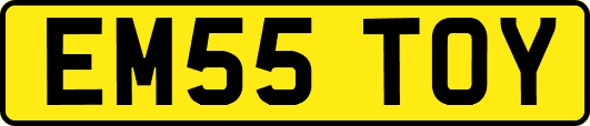EM55TOY
