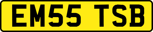 EM55TSB