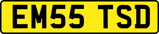 EM55TSD