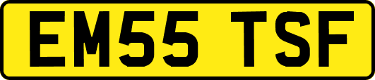 EM55TSF