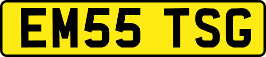 EM55TSG
