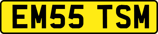 EM55TSM