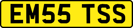 EM55TSS