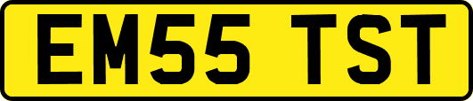 EM55TST